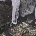 NATURAL 87012-3 - Image 3