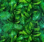 Urban Chic 6044-1 Wallpaper - Image 2