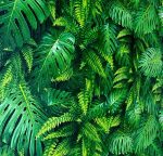 Urban Chic 6044-1 Wallpaper - Image 3