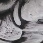 NATURAL 88430-2 - Image 3