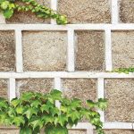 NATURAL  88428-2 Deoksugung - Image 2