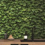 NATURAL 88422-1 - Image 2