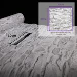 NATURAL 88434-2 - Image 4